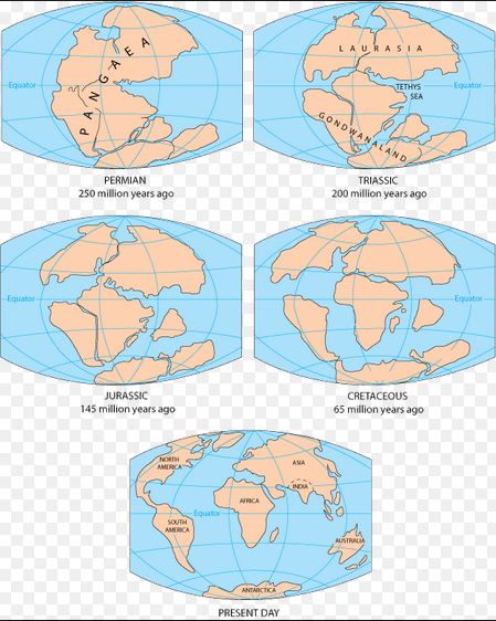 The formation of seven continents from continental drift